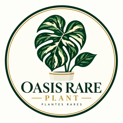 Oasis Rare Plant — plantes rares et tropicales